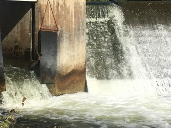 Port Hope Travel - Salmon Migration